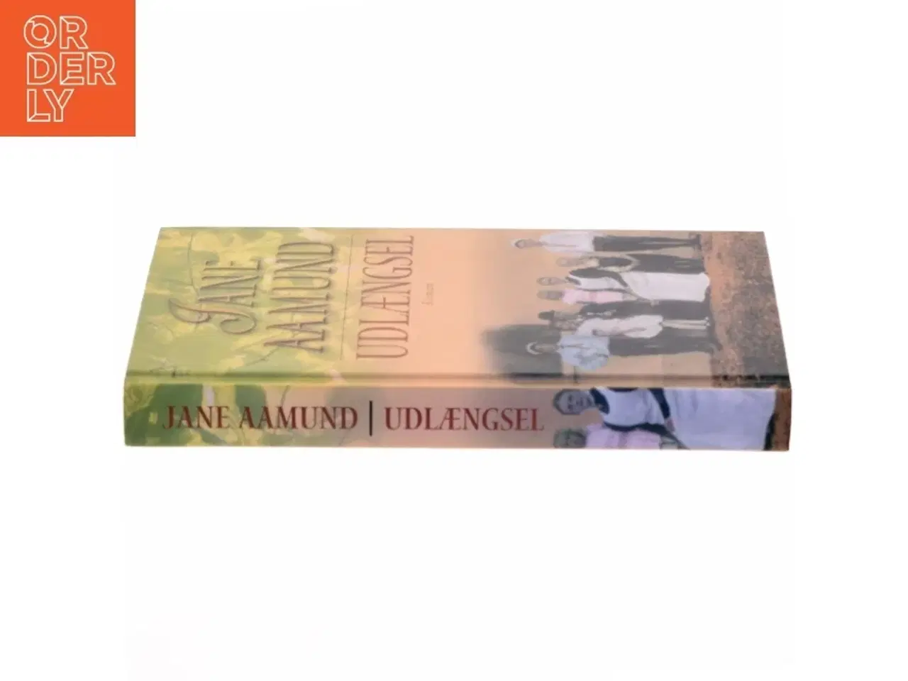 Billede 2 - Udlængsel af Jane Aamund (Bog)