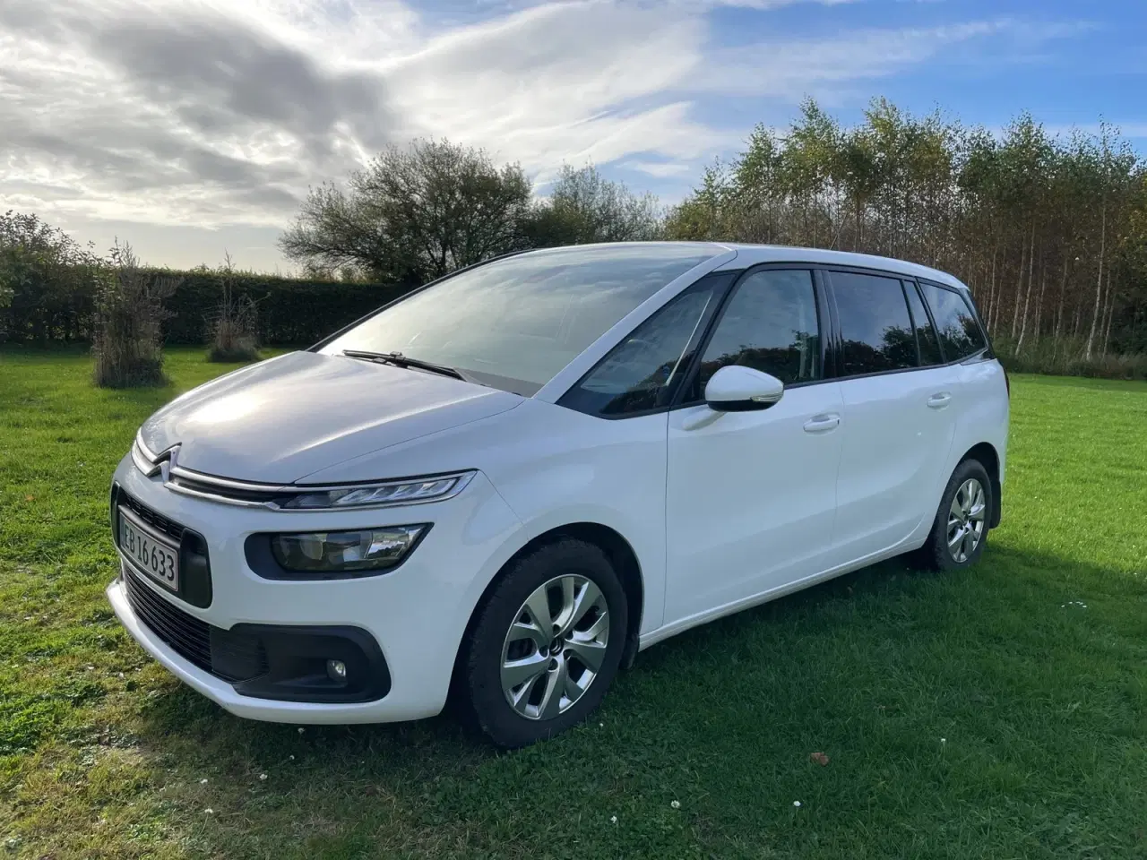 Billede 1 - Citroën Grand C4 SpaceTourer 1,5 BlueHDi 130 Cool 7prs