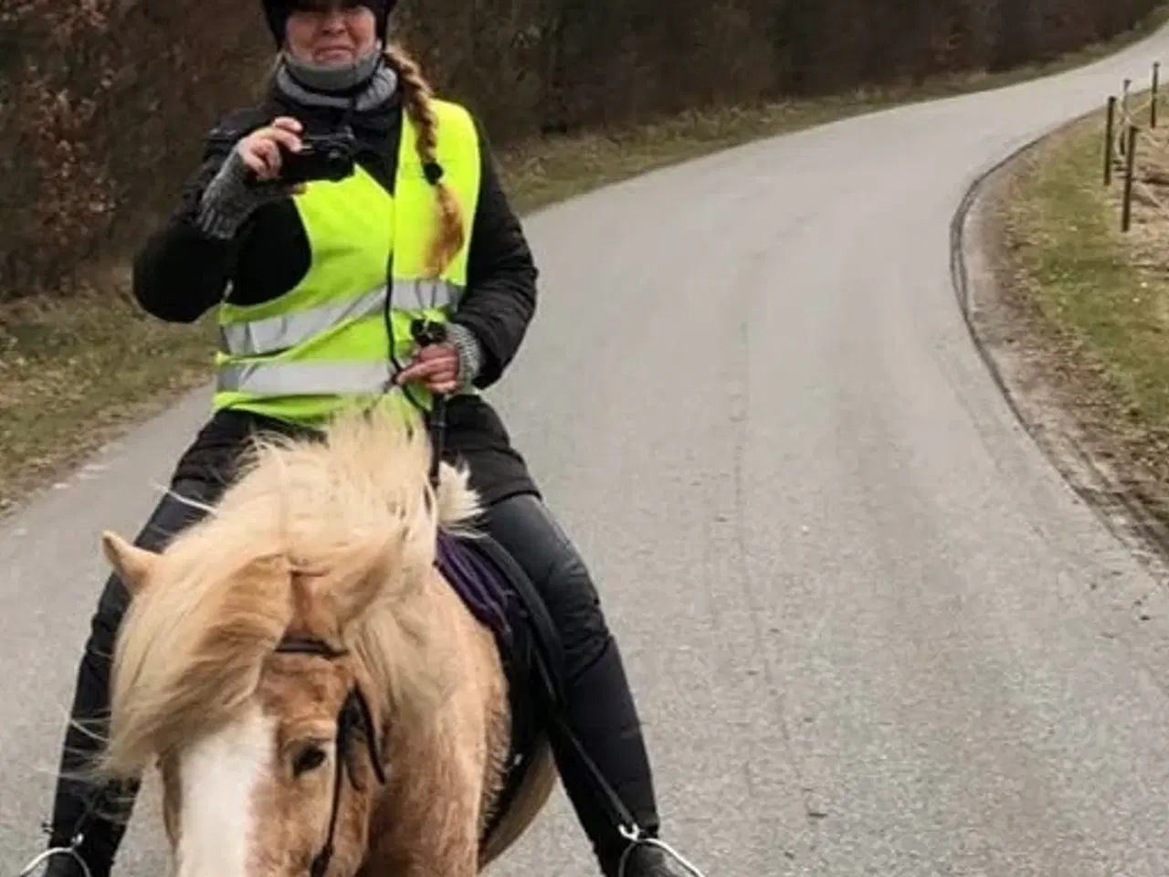 Billede 4 - Tøltende Skovturs- / Konehest