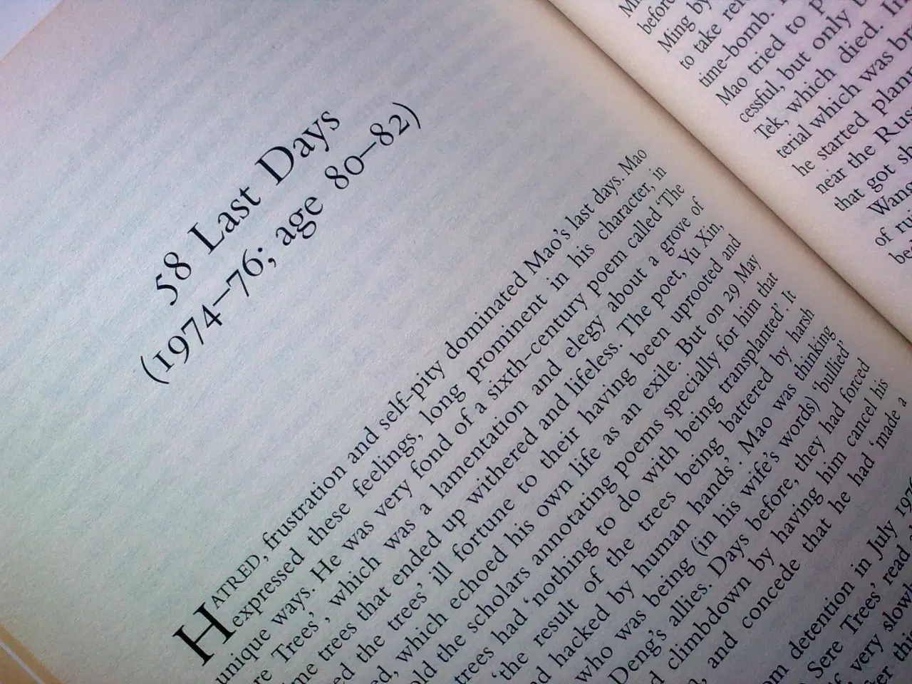 Billede 6 - MAO The unknown story * KINA China Revolution