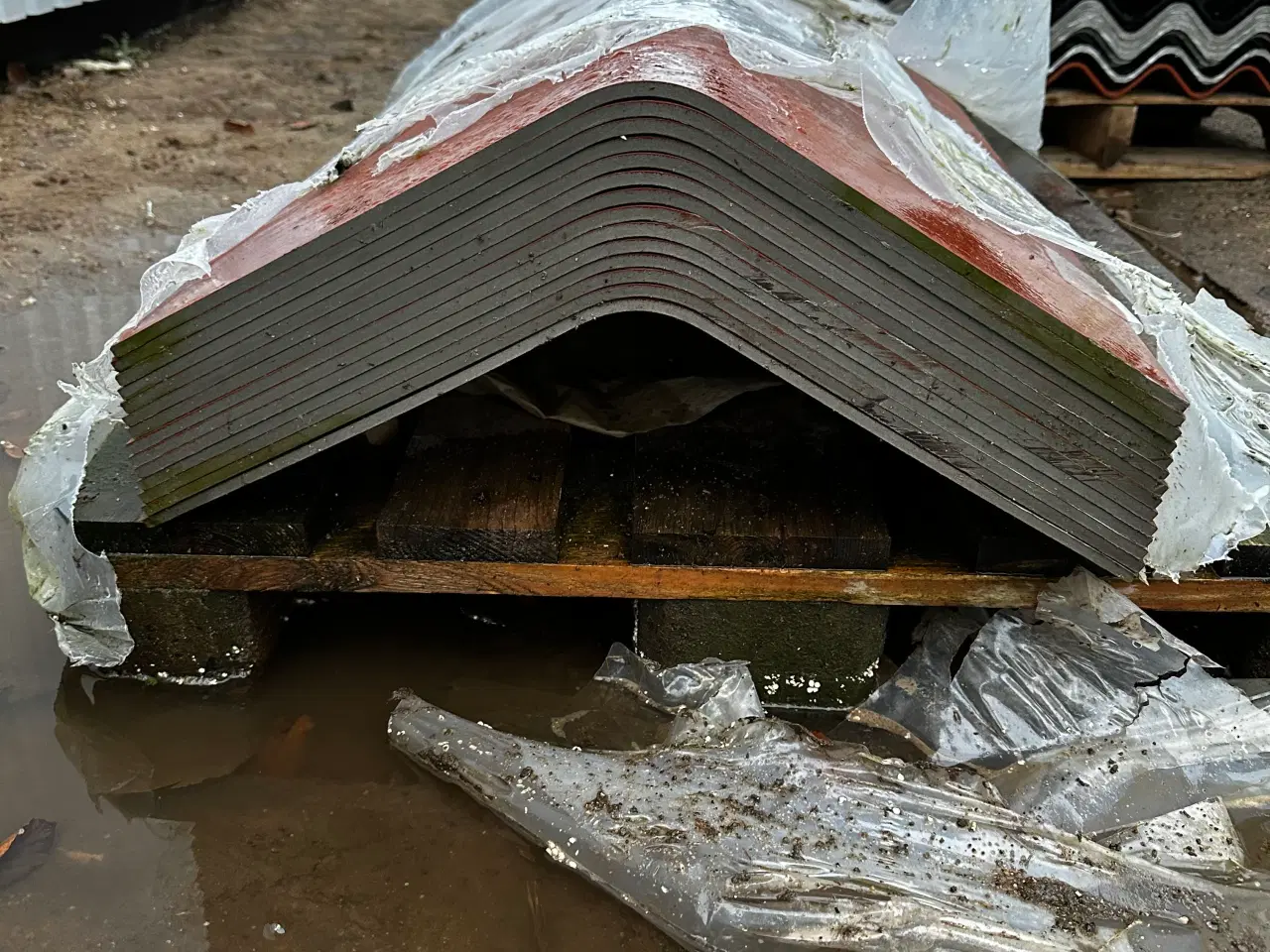 Billede 1 - 30 grader rygninger