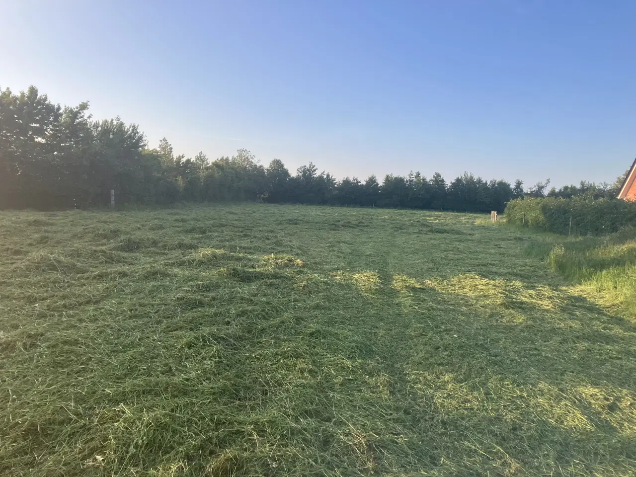 Billede 2 - Wraphø topkvalitet i små baller