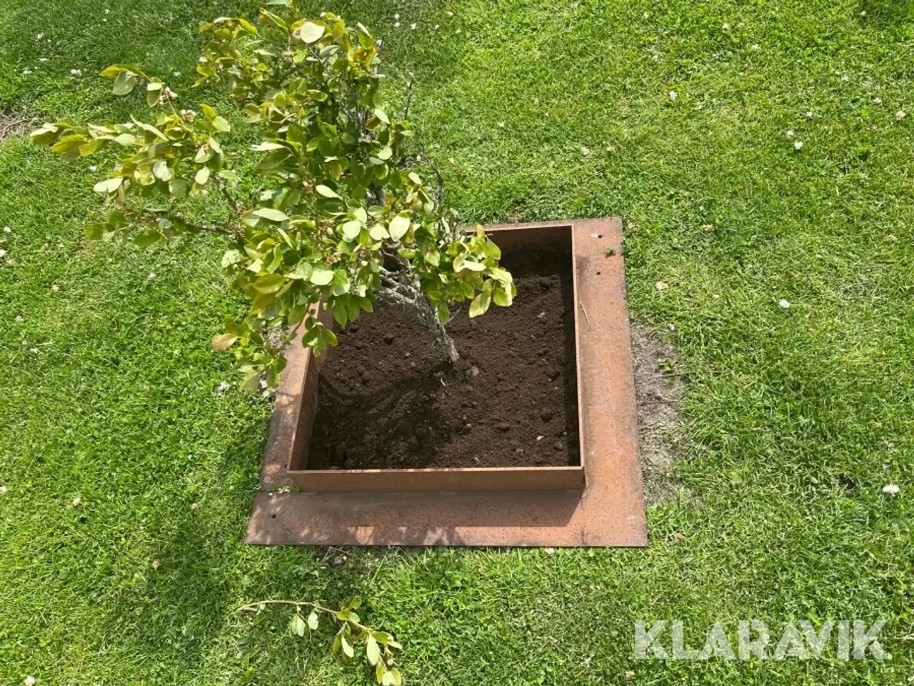 Billede 5 - Bed kanter Corten Stål