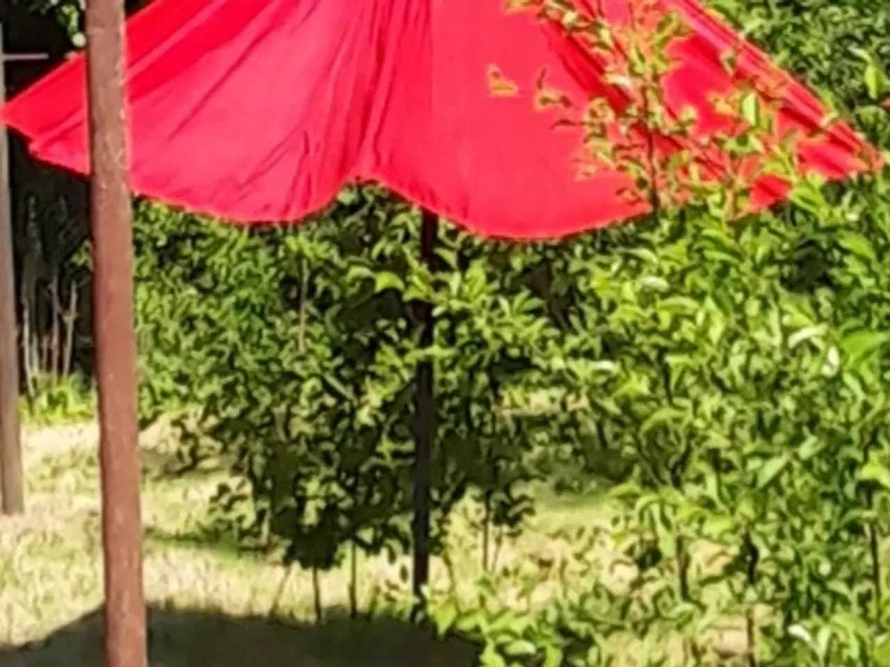 Billede 1 - Stor rød (BLÅ) parasol  -  uden fod