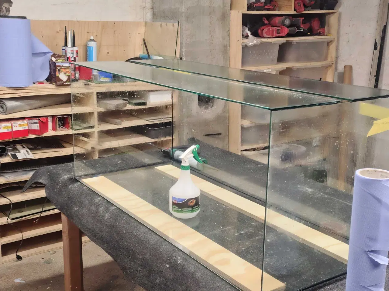 Billede 1 - Glas Terrarier