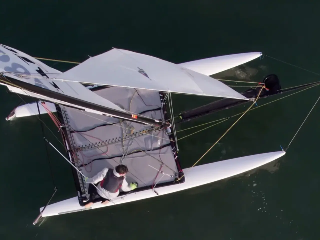 Billede 3 - Hobie 16, 2022 Worlds boat #49