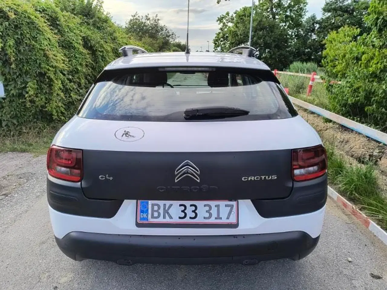 Billede 10 - Citroën C4 Cactus