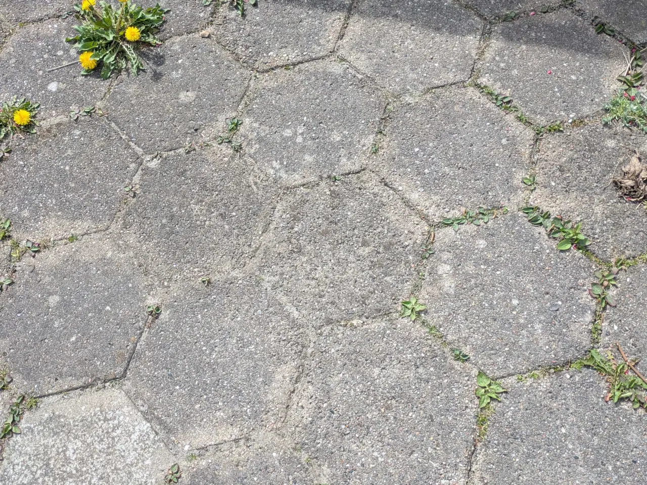 Billede 1 - Sekskantede fliser, 250 stk.