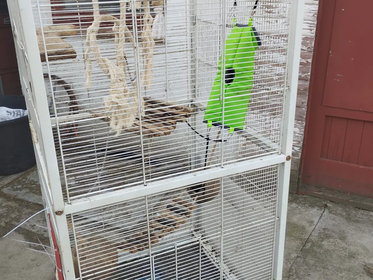 Billede 1 - 2 gratis bure