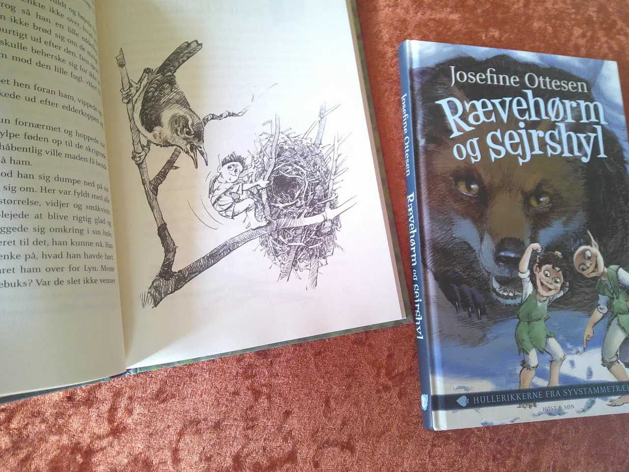 Billede 3 - Hullerikkerne fra Syvstammetræet, Josefine Ottese