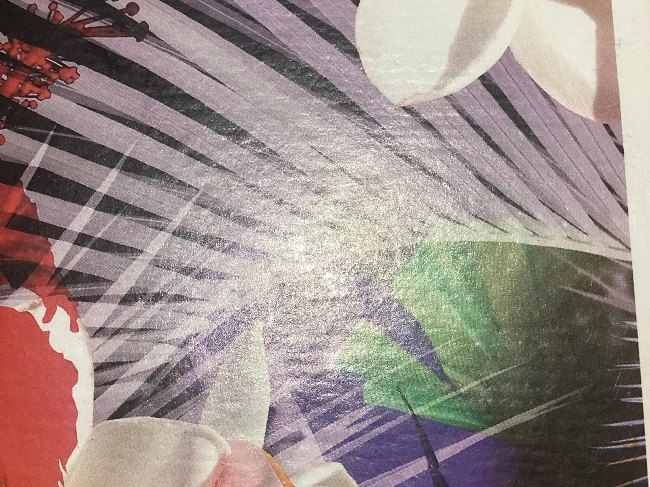 Billede 3 - 3 puslespil med 1000 brikker