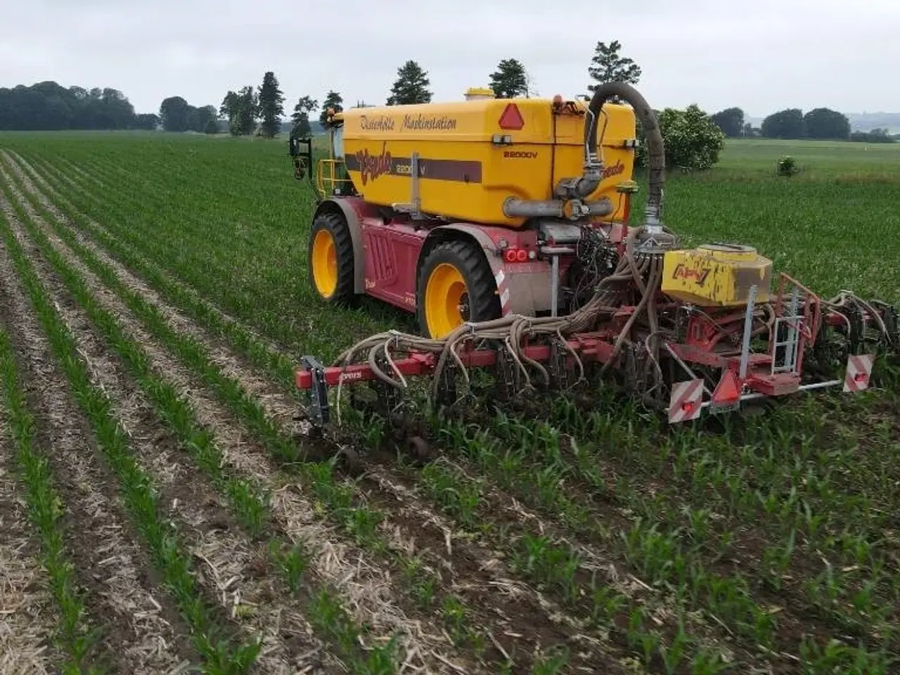 Billede 15 - - - - Evers Tribus renser SB 12- 150