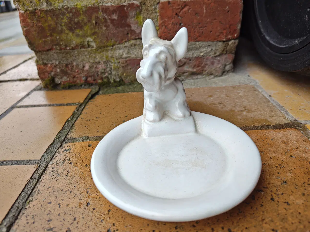 Billede 2 - Michael Andersen Skotte Hund Skotsk Terrier