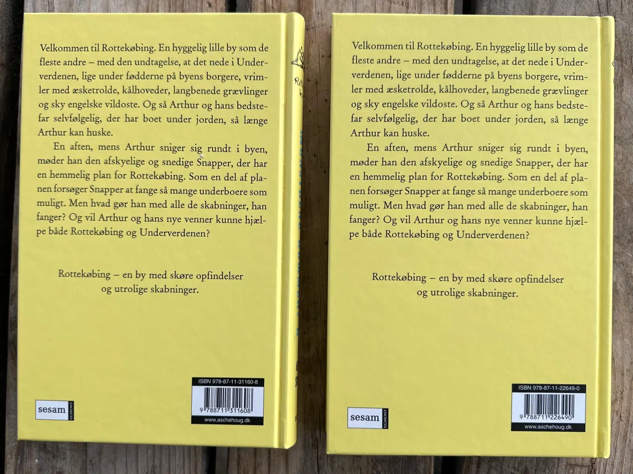 Billede 2 - Monstrene kommer - Rottekøbing-krøniken - bind 1+2