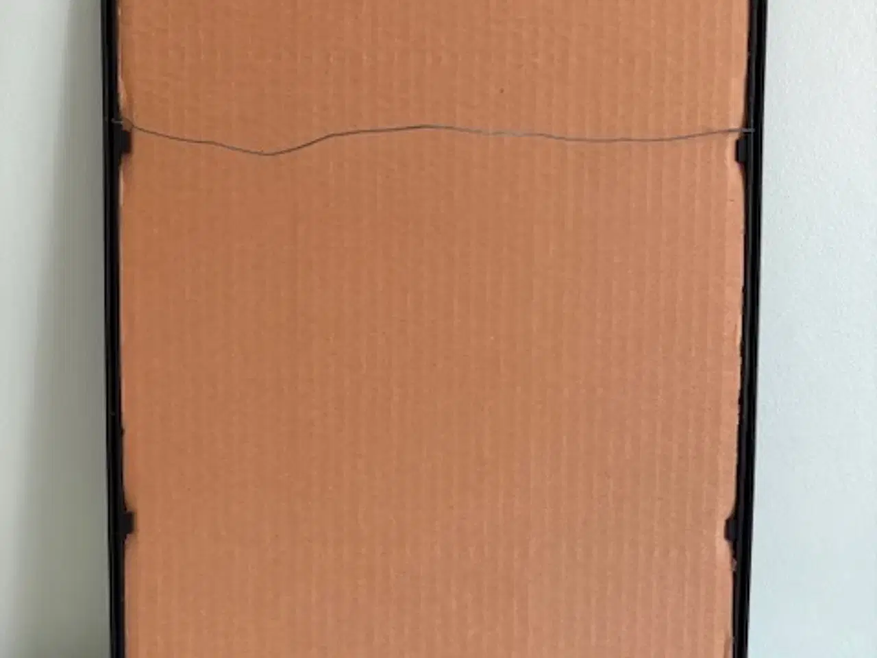 Billede 4 - Flora Danica botanisk plakat indrammet