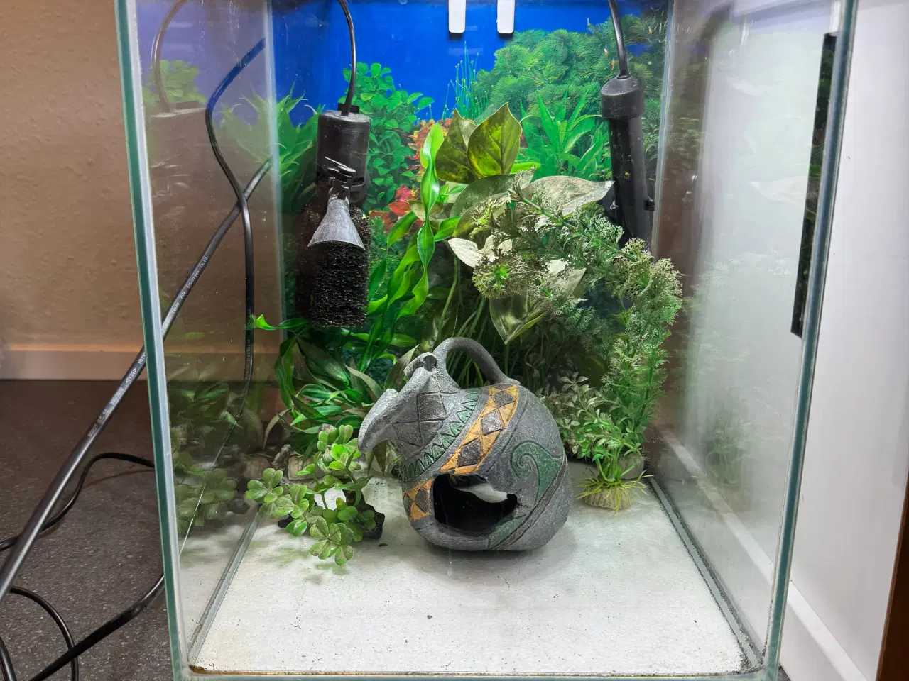 Billede 1 - Aquael 30 l akvarium