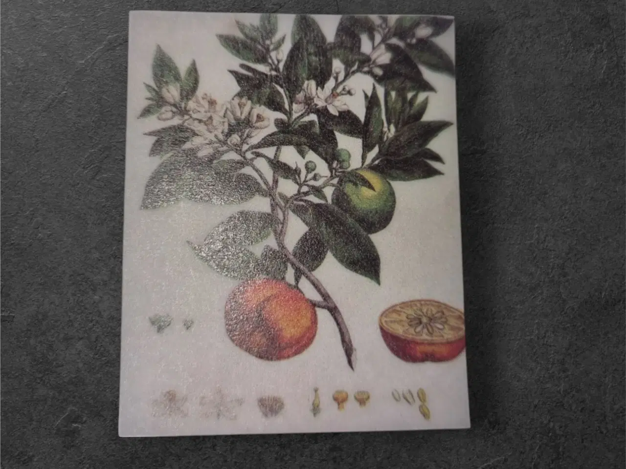 Billede 1 - Solrige papirark med livligt citrustræ-design