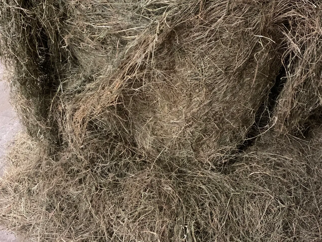 Billede 2 - Tørt heste wrap
