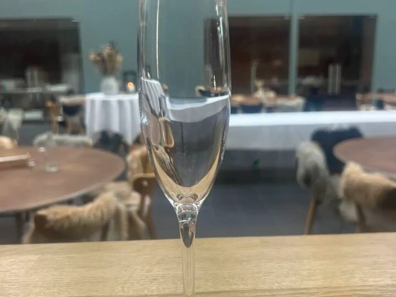 Billede 1 - 100 stk. Champagneglas - Zenz Penelope - 17 cl