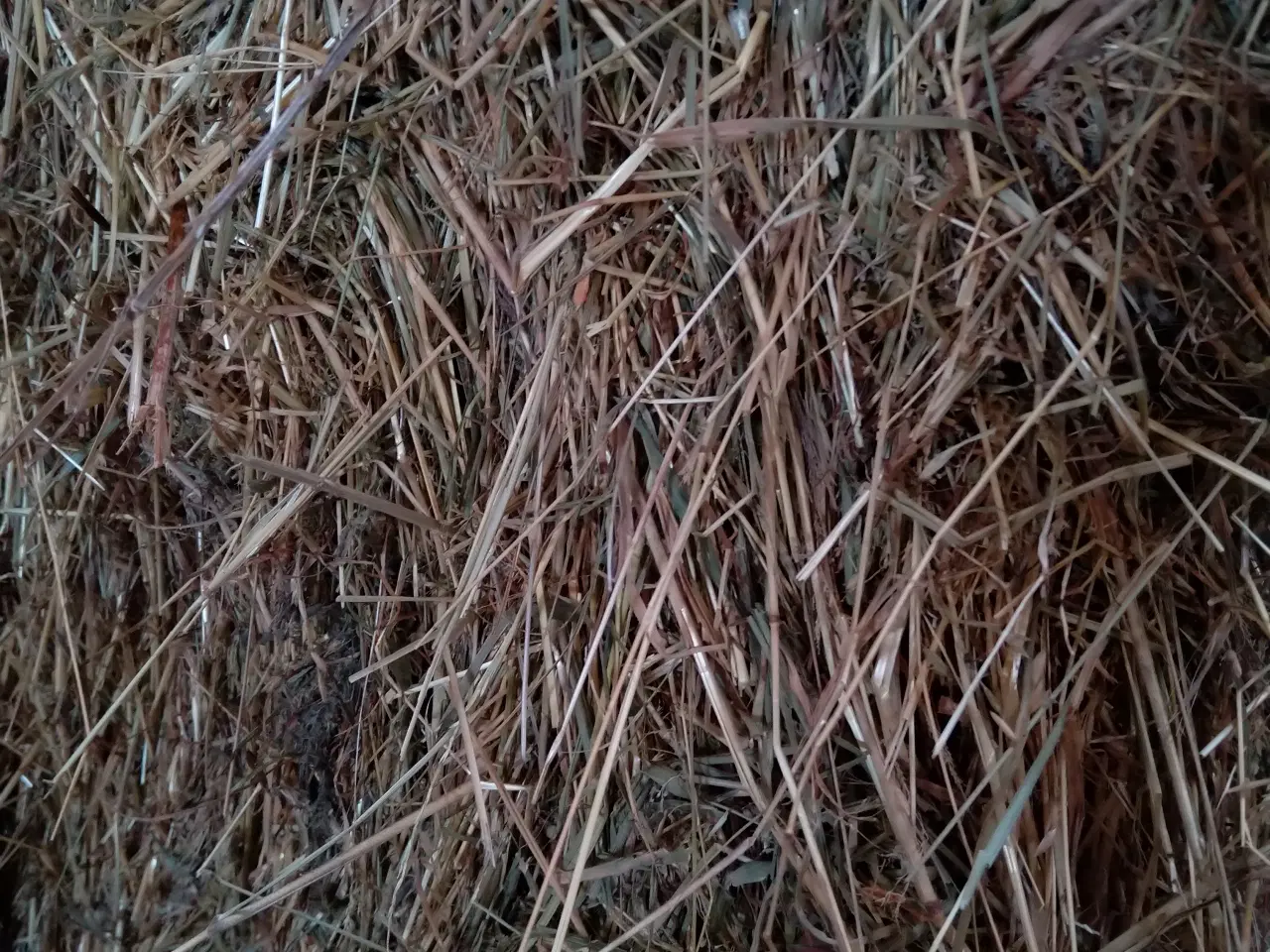 Billede 1 - Hø i Minibig