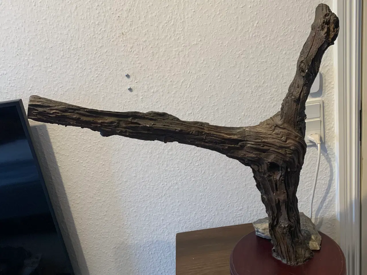 Billede 7 - Udstoppet caracal/ørkenlos