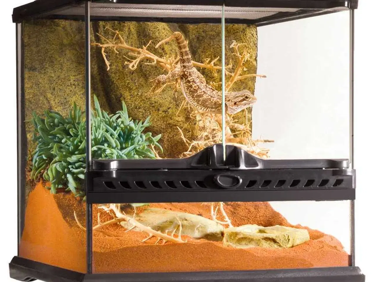 Billede 1 - Terrarium 30x30x30 cm 2 stk søges