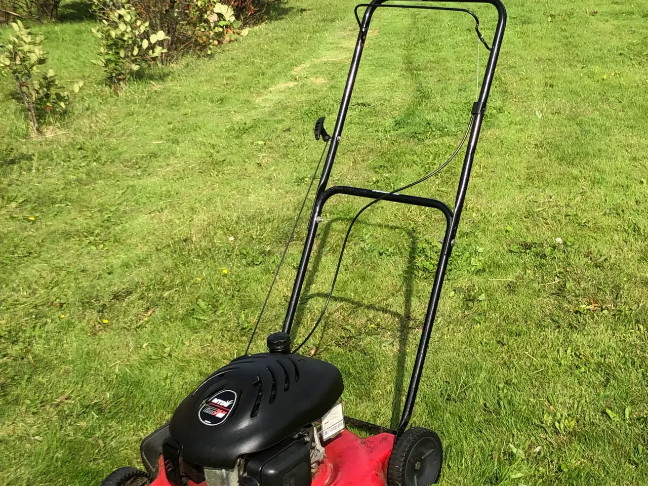 Billede 1 - Plæneklipper, bioklip, 51 cm