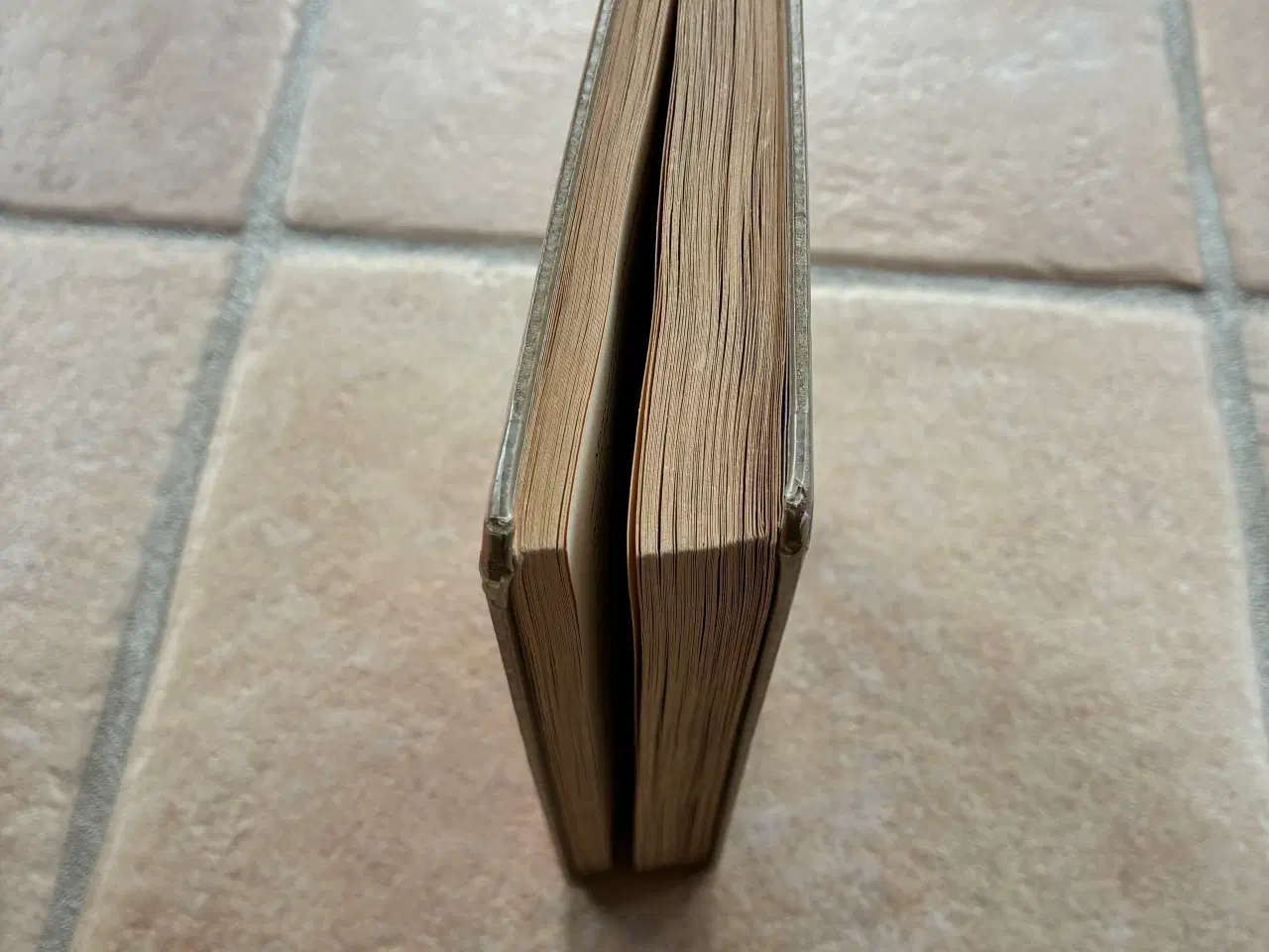 Billede 5 - Nora bog af Tine Bryld