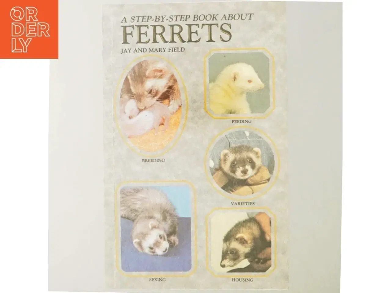 Billede 6 - A step-by-step book about ferrets (Bog)