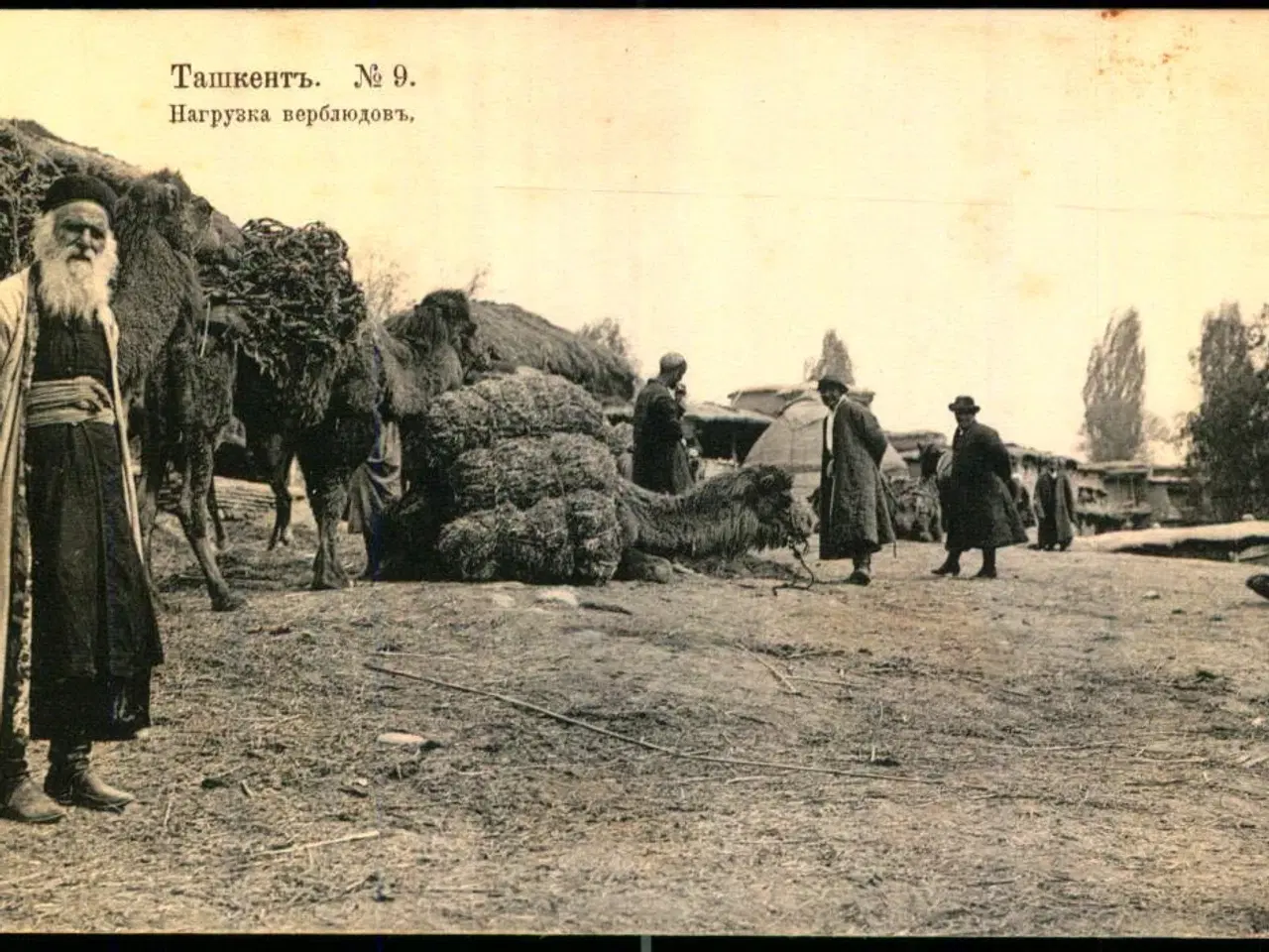 Billede 1 - Tasjkent - Lastning af Kameler - Ubrugt