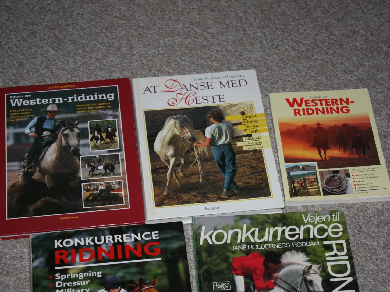 Billede 2 - Politikens ridebog