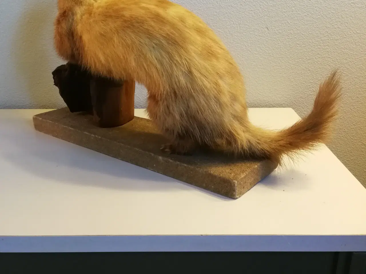 Billede 4 - Flot udstoppet ilder