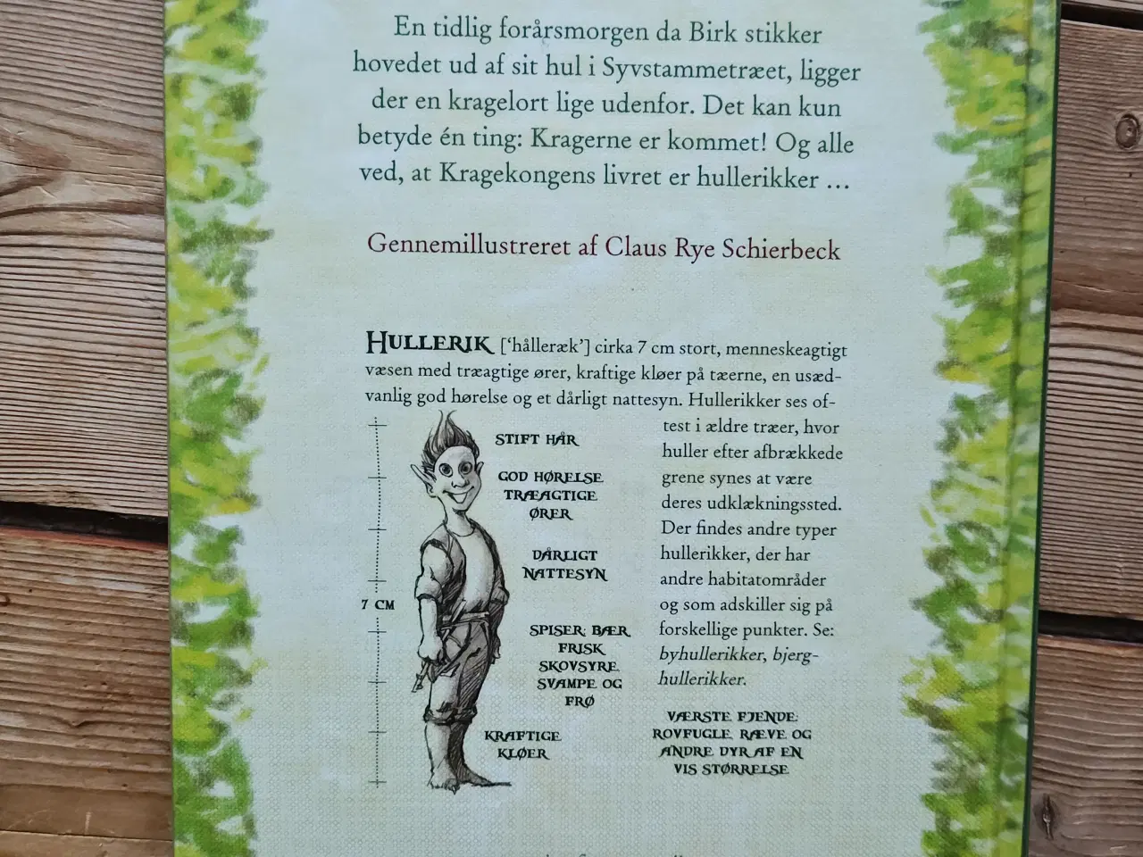 Billede 3 - Heltemod og Kragelort BOG + CD af Josefine Ottesen