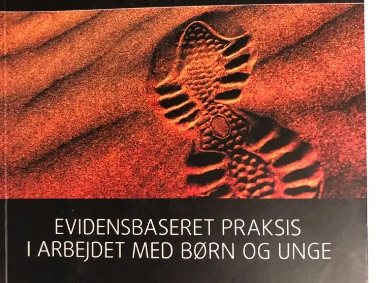 Billede 1 - Evidensbaseret Praksis