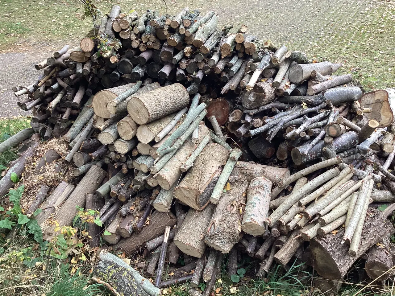 Billede 1 - Firewood