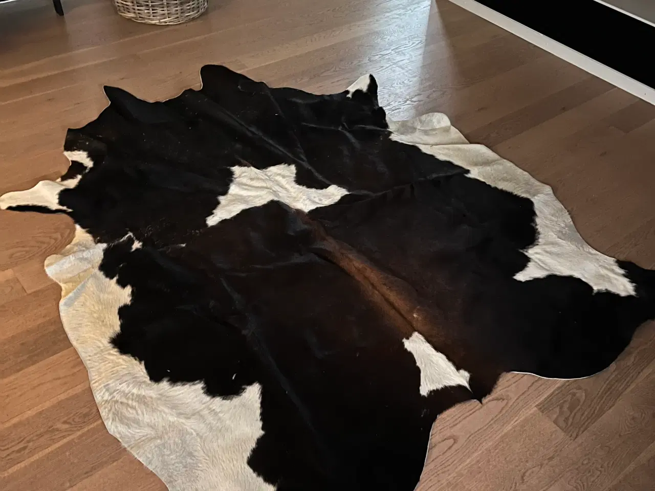 Billede 1 - Smukt koskind 