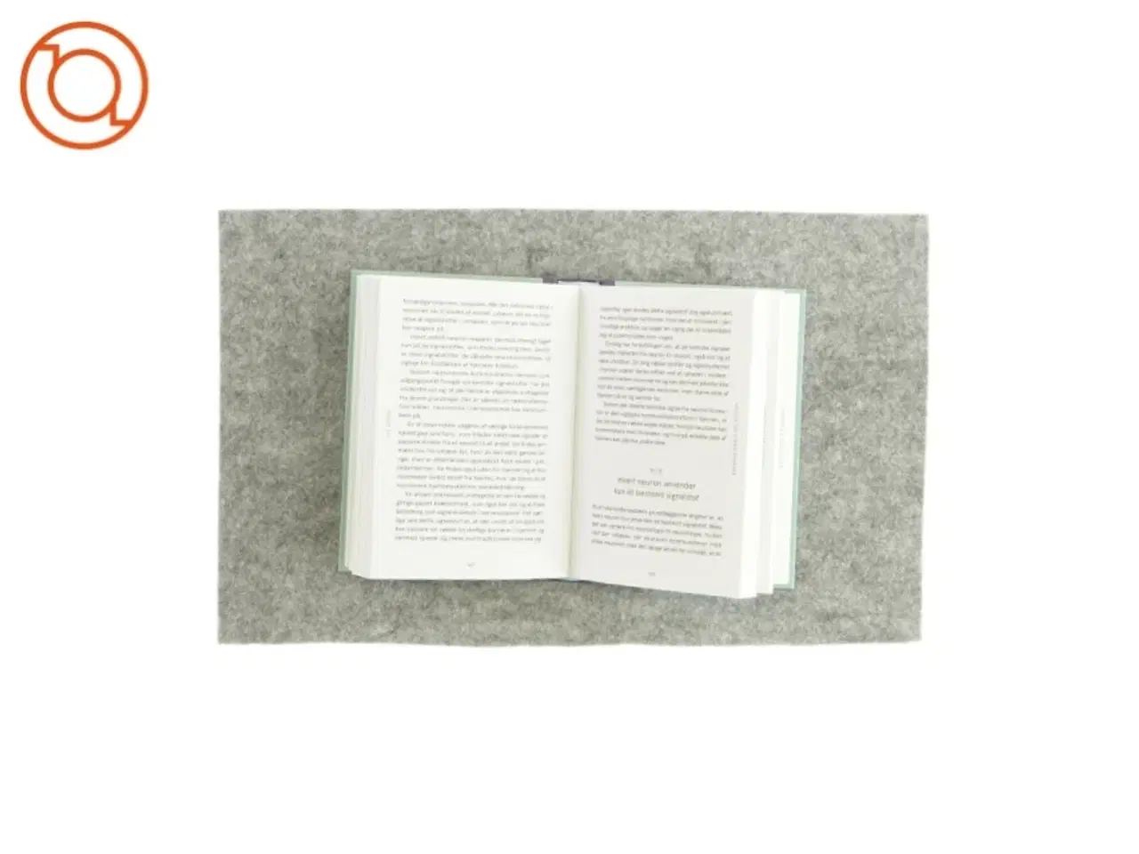 Billede 3 - 100 myter om hjernen af Thomas Thaulov Raab (bog)