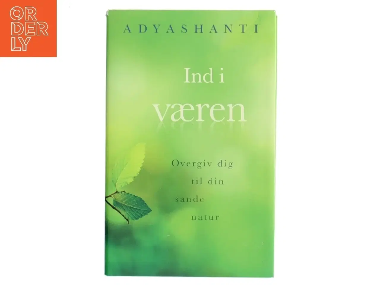 Billede 1 - Ind i væren : overgiv dig til din sande natur af Adyashanti (Bog)