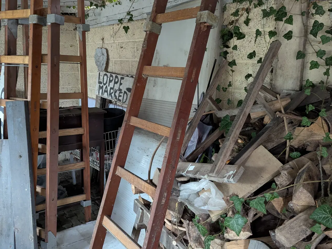 Billede 1 - Brandstiger 