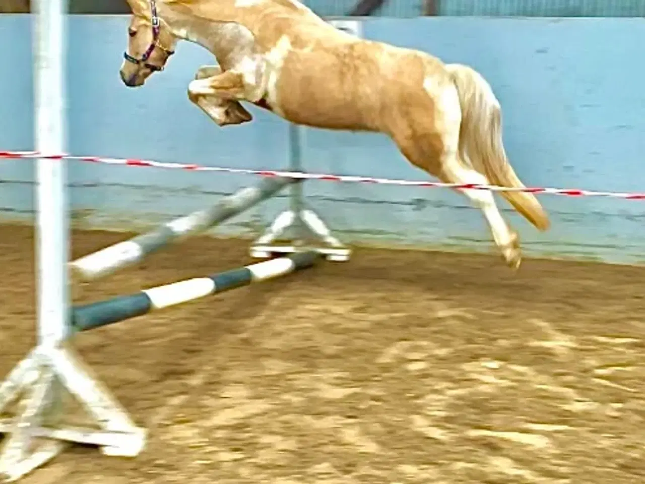 Billede 7 - Smukke Sigga