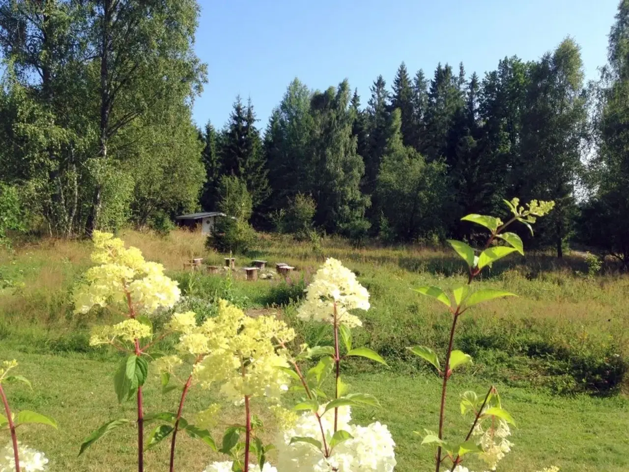 Billede 3 - Idyllisk sommertorp i Blekinge