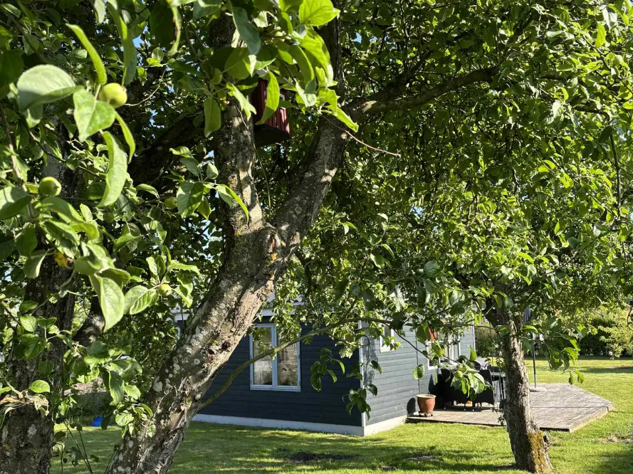 Billede 4 - Hyggeligt kolonihavehus sælges