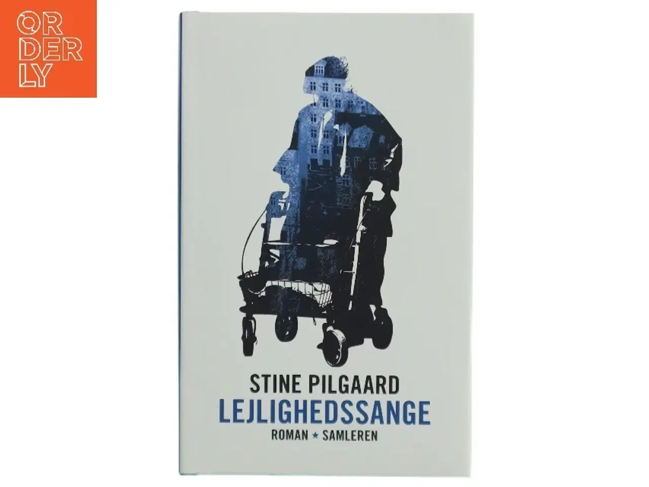 Billede 1 - Stine Pilgaard: Lejlighedssange