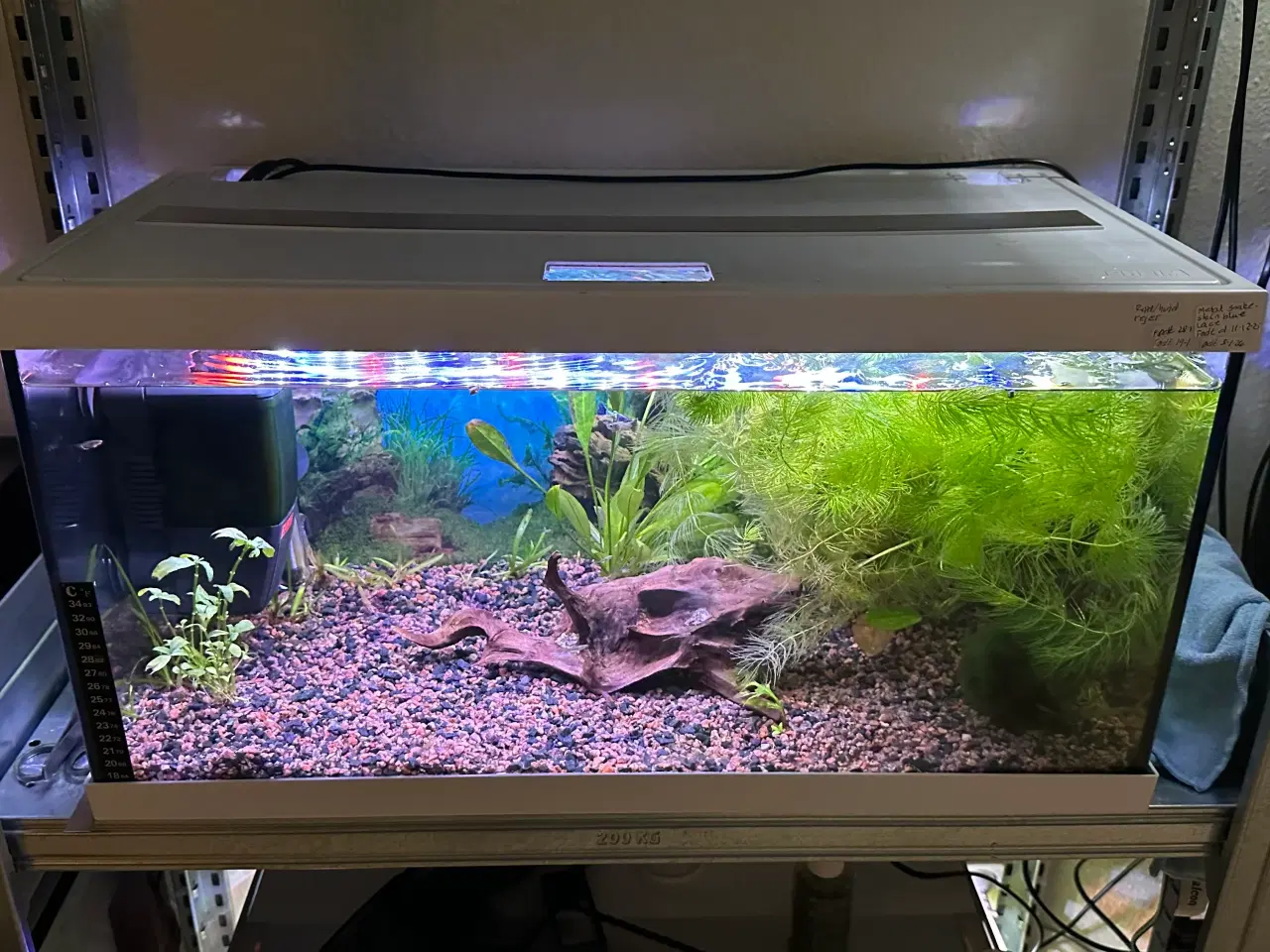 Billede 2 - Eheim starter akvarie på 54L klar til brug. 