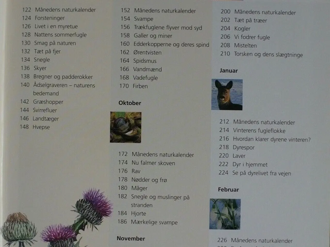 Billede 3 - familiens naturbog, af thomas bille og leif schack