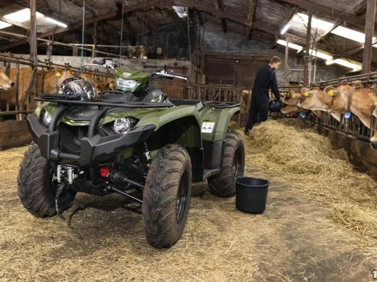 Billede 6 - Yamaha Kodiak 450 Demomodel EPS Traktor (Electric Power Steering)