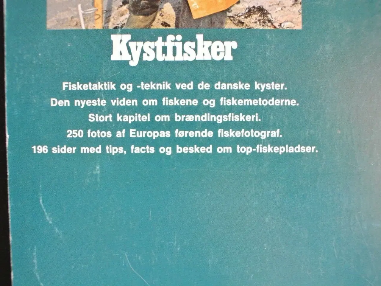 Billede 4 - kystfisker, Af jens ploug hansen, emne: hobby og s