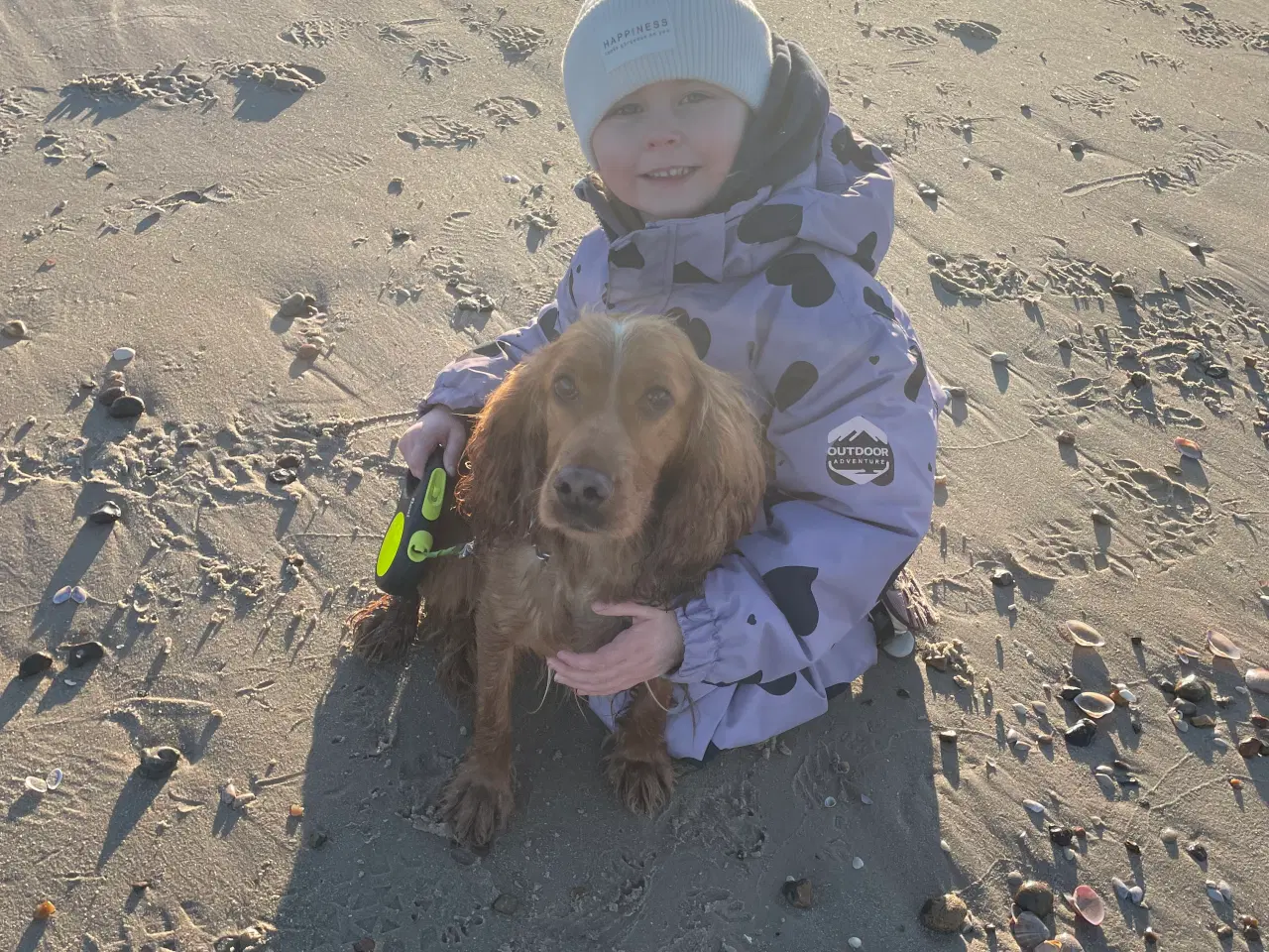 Billede 2 - Hvalpe på vej 