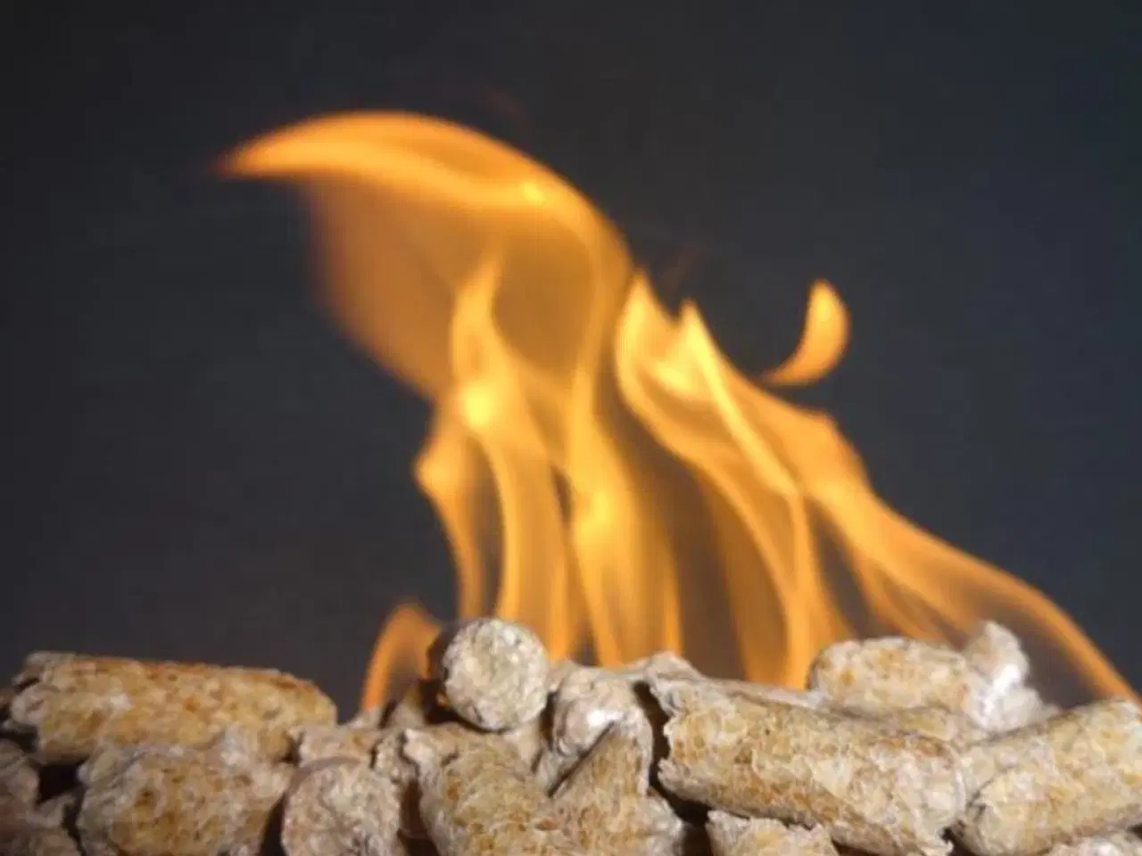 Billede 4 - *TræPiller. Laxå 832kg.