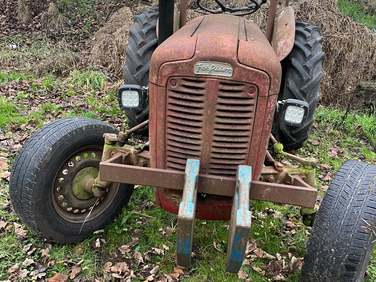 Billede 2 - “Dumle” skal videre - Ferguson 35